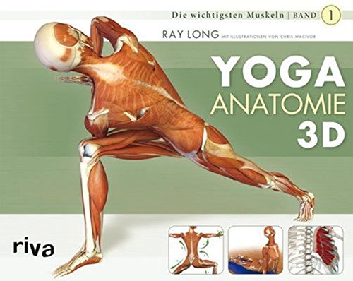 Yoga-Anatomie 3D: Band 1: Die wichtigsten Muskeln